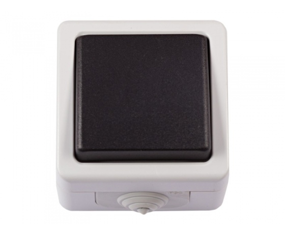 Фото 2 - Блок выключатель одинарный Luxel DEBUT (6502)