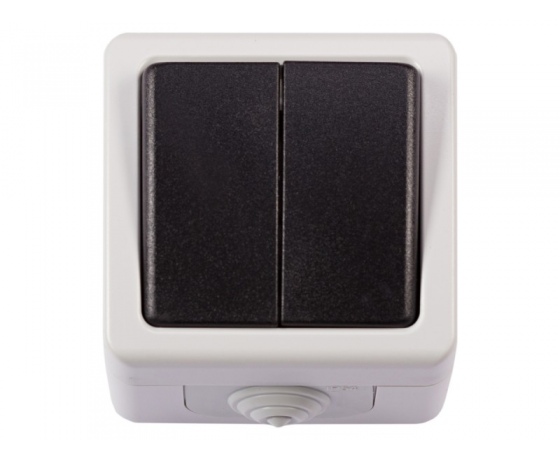 Фото 2 - Блок двойной выключатель Luxel DEBUT (6503)