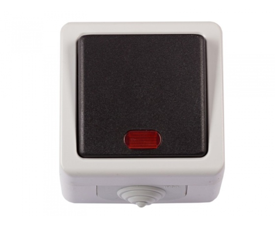 Фото 2 - Блок выключатель с подсветкой Luxel DEBUT (6505)