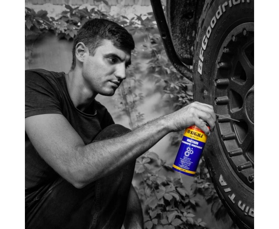 Фото 6 - Универсальная проникающая смазка 400мл SIGMA (6370171)