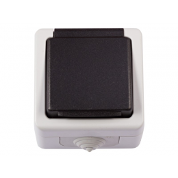 Блок розетка с заземлением и крышкой Luxel DEBUT (6511)