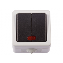 Блок двойной выключатель с подсветкой Luxel DEBUT (6506)