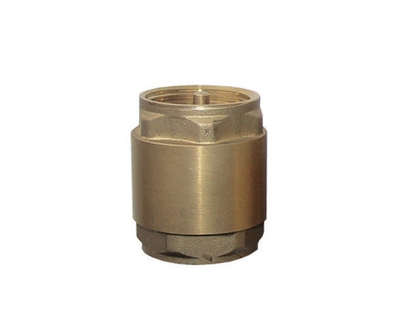 Фото 2 - Клапан обратный 1