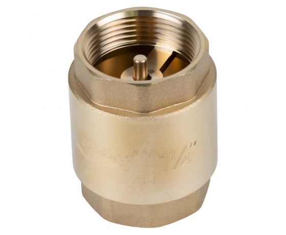 Фото 2 - Клапан обратный F1 1/4