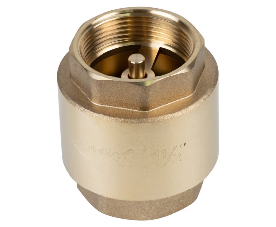 Фото 2 - Клапан обратный F1 1/2