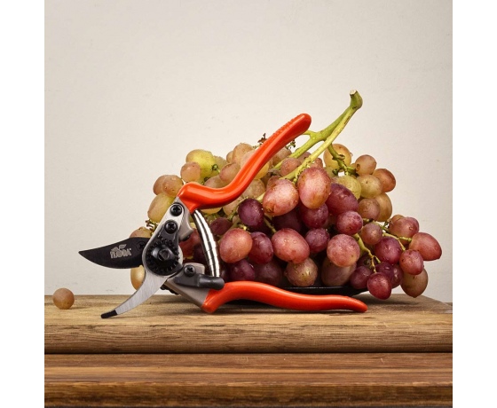 Фото 9 - Секатор обводной 200мм нержавеющая сталь FLORA (5021404)