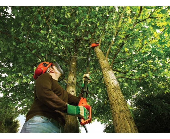 Фото 4 - Ланцюгова пила на штанзі мережева Black+Decker 800 Вт 25 см