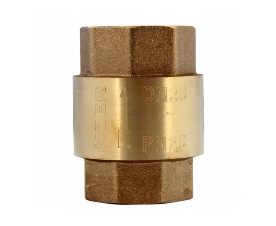 Фото 4 - Клапан обратный 1