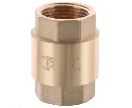 Фото 2 - Клапан обратный 1