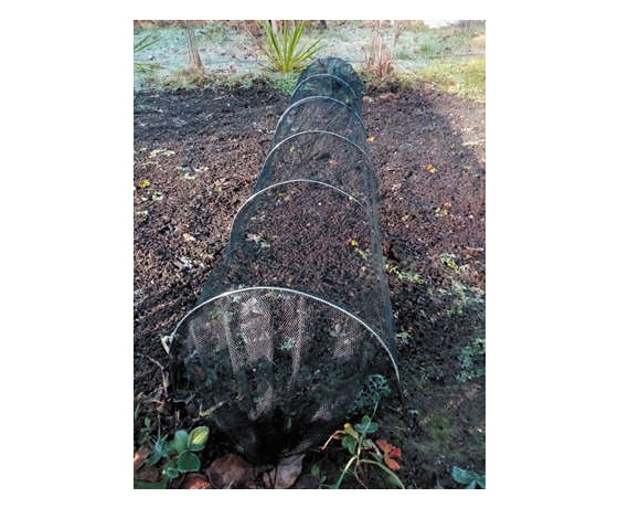 Фото 2 - Тунель захисний для рослин FLO, 300х 45х 45 см з чорної сітки