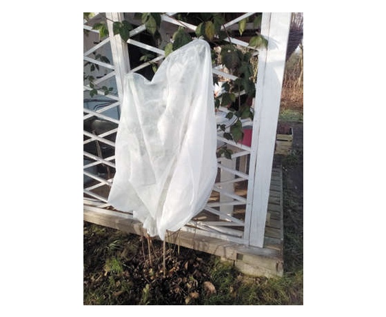 Фото 2 - Чохол захисний для рослин FLO, 120х 180 см з волокна- 30 г/м²
