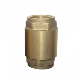 Клапан обратный (усиленный) 1