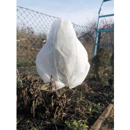Чохол захисний від замерзання для рослин FLO, 80х 75 см з волокна, 3 шт.